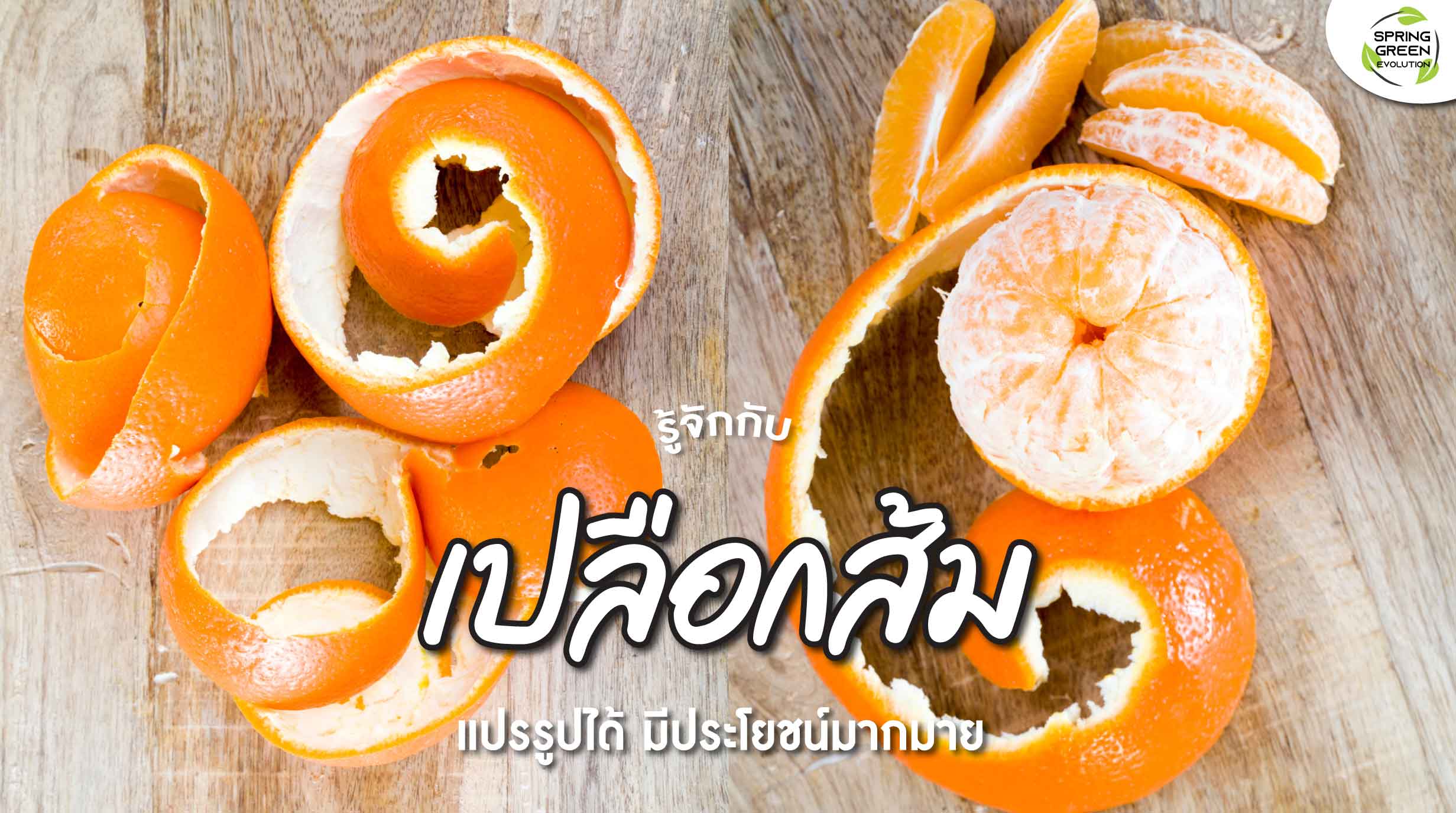 สรรพคุณ เปลือกส้ม วิธีแปรรูป และการนำไปใช้ประโยชน์ - SGETHAI สรรพคุณ เปลือกส้ม วิธีแปรรูป และการนำไปใช้ประโยชน์ - Sgethai