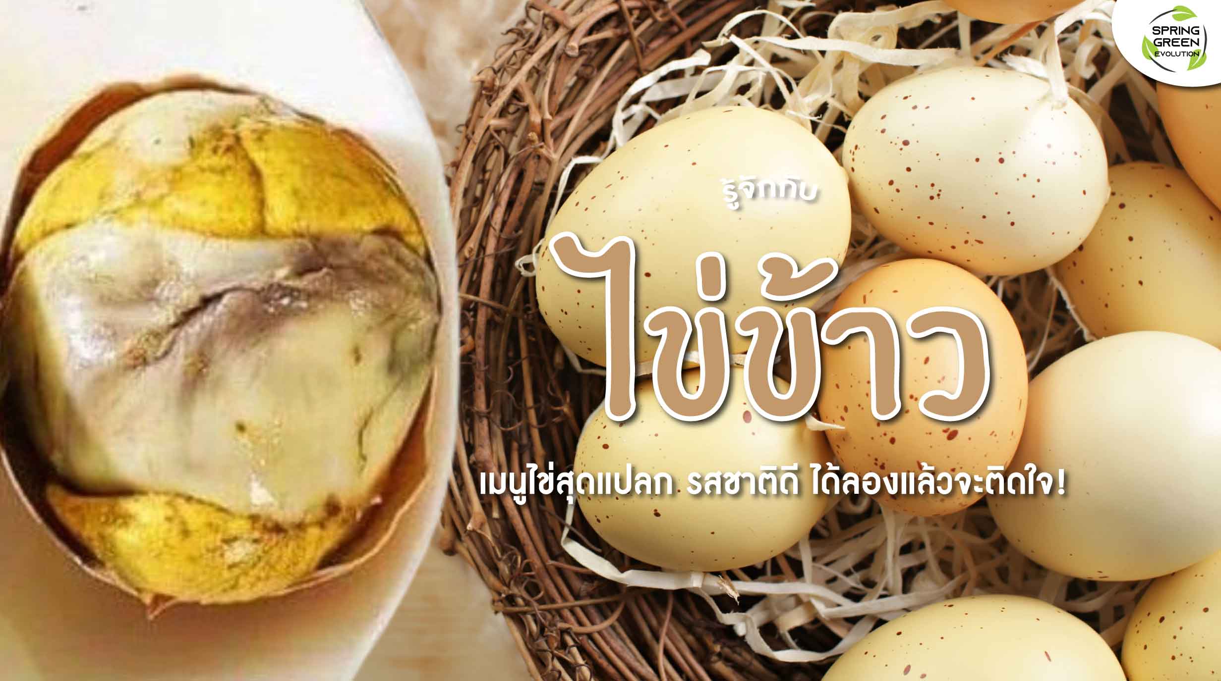 รู้จัก ไข่ข้าว เมนูไข่สุดแปลก รสชาติดี ที่หลายคนไม่เคยลอง - SGETHAI รู้จัก ไข่ข้าว เมนูไข่สุดแปลก รสชาติดี ที่หลายคนไม่เคยลอง - Sgethai