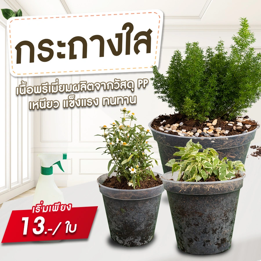 กระถางใส กระถางต้นไม้ใส