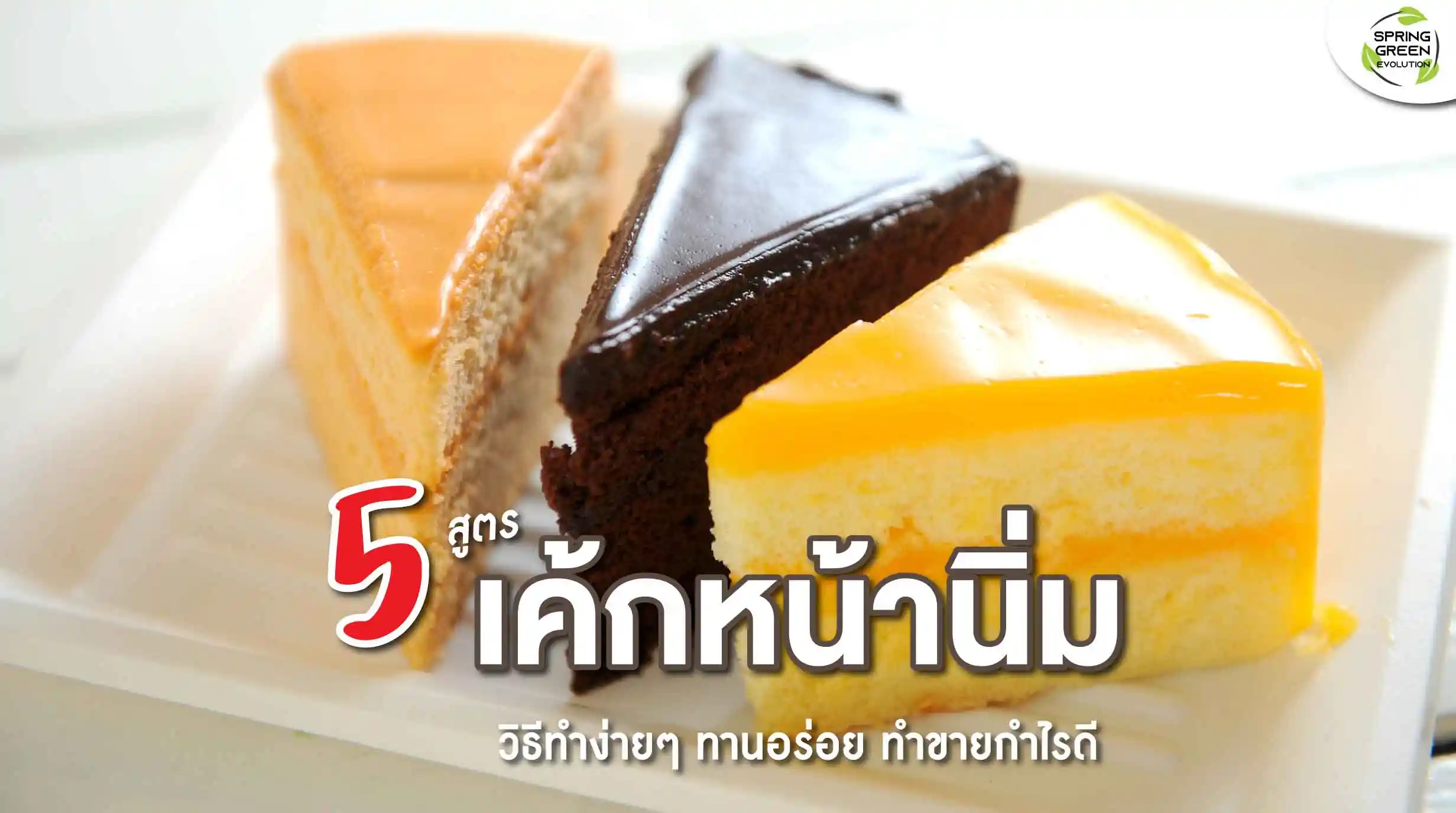 รวม 5 สูตร เค้กหน้านิ่ม พร้อมวิธีทำง่ายๆ ทำขายได้ อร่อยด้วย - SGETHAI