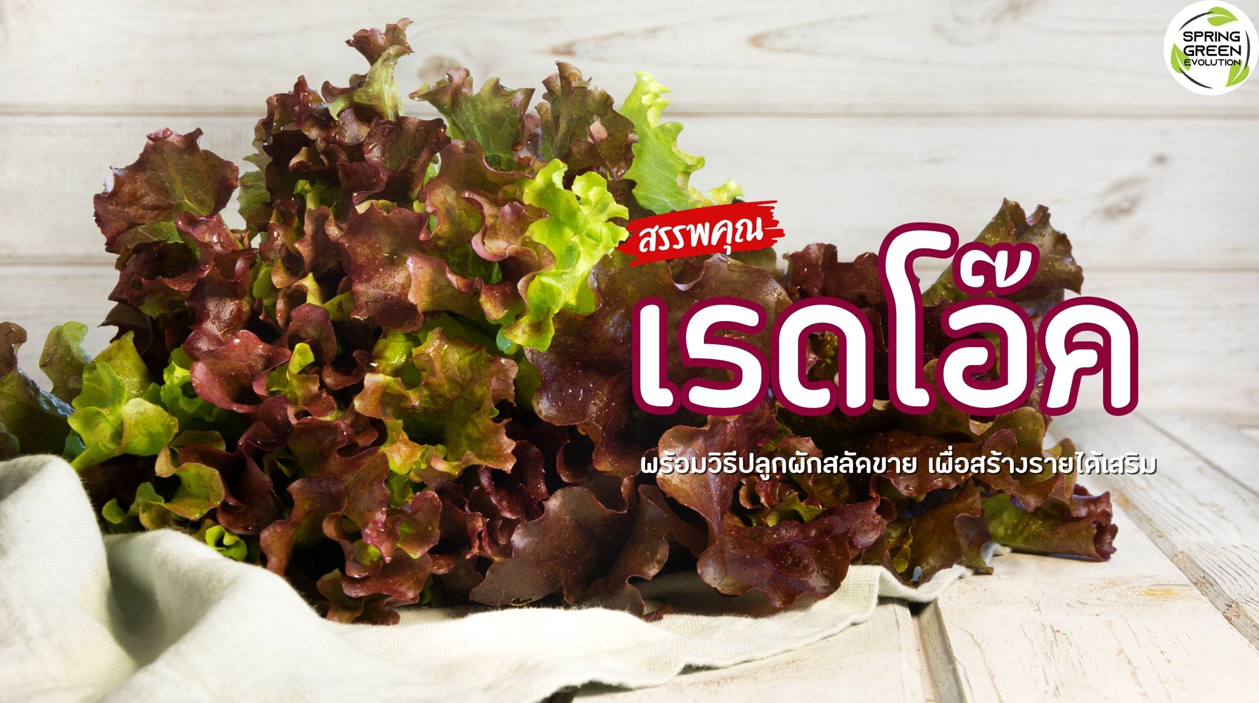 เรดโอ๊ค