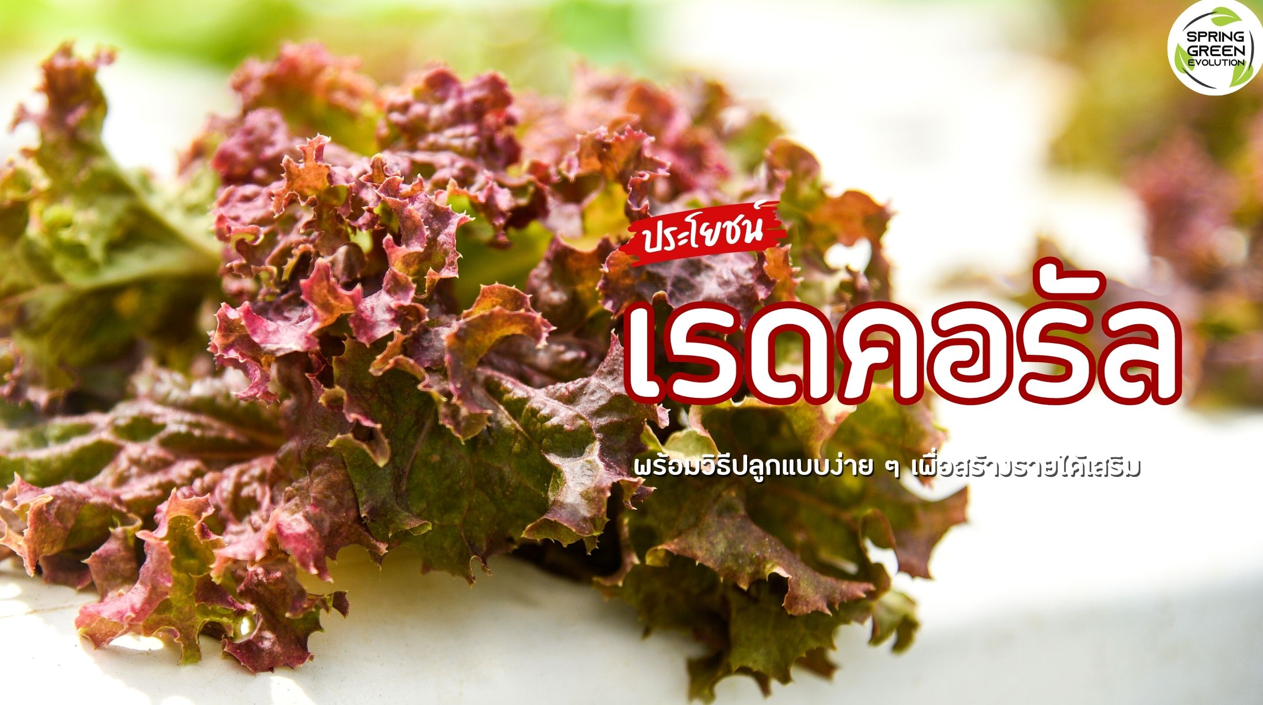 เรดคอรัล