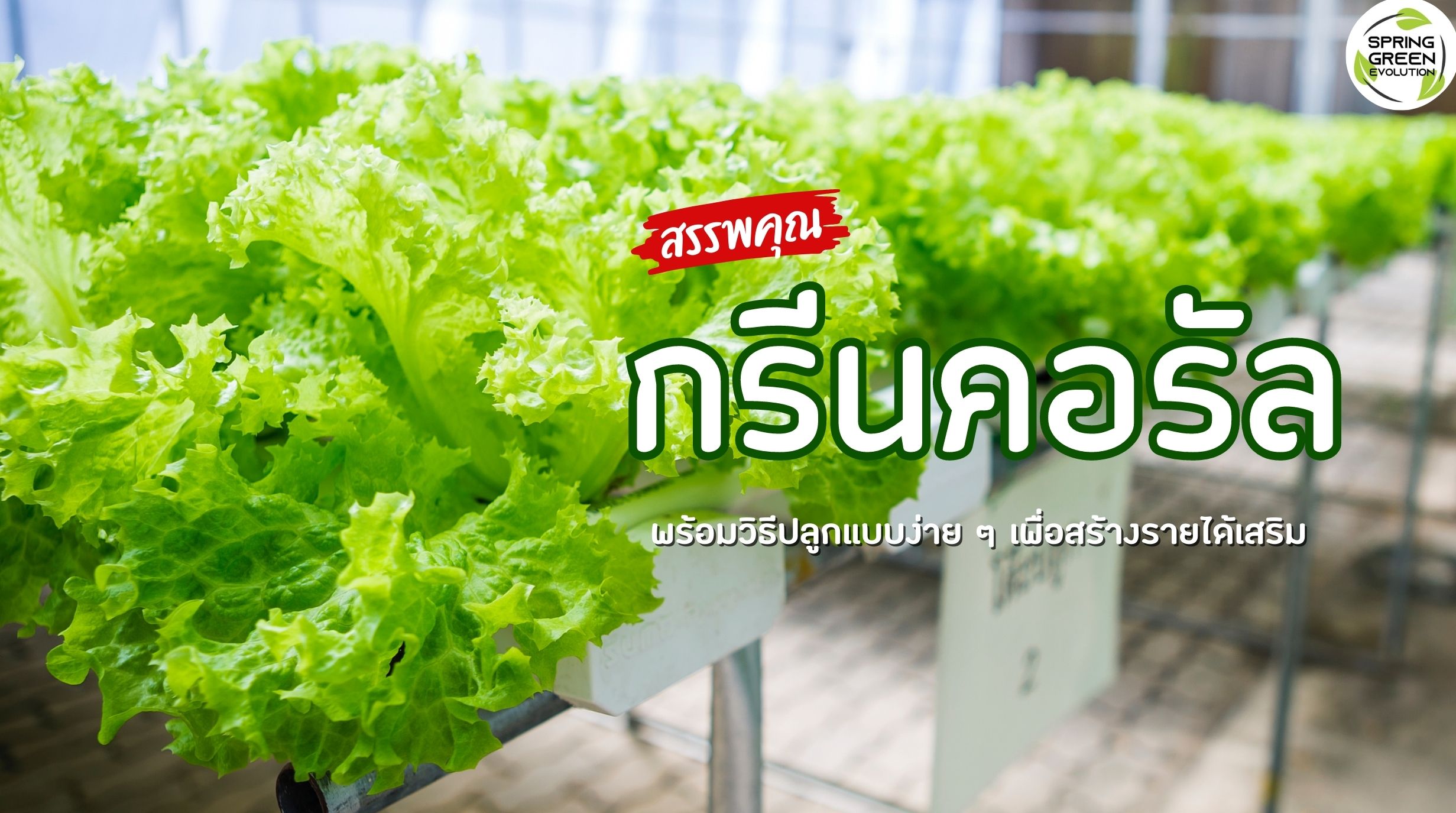 กรีนคอรัล