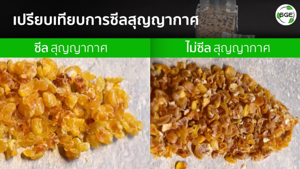 ถุงซีลสูญญากาศ บทความ 1