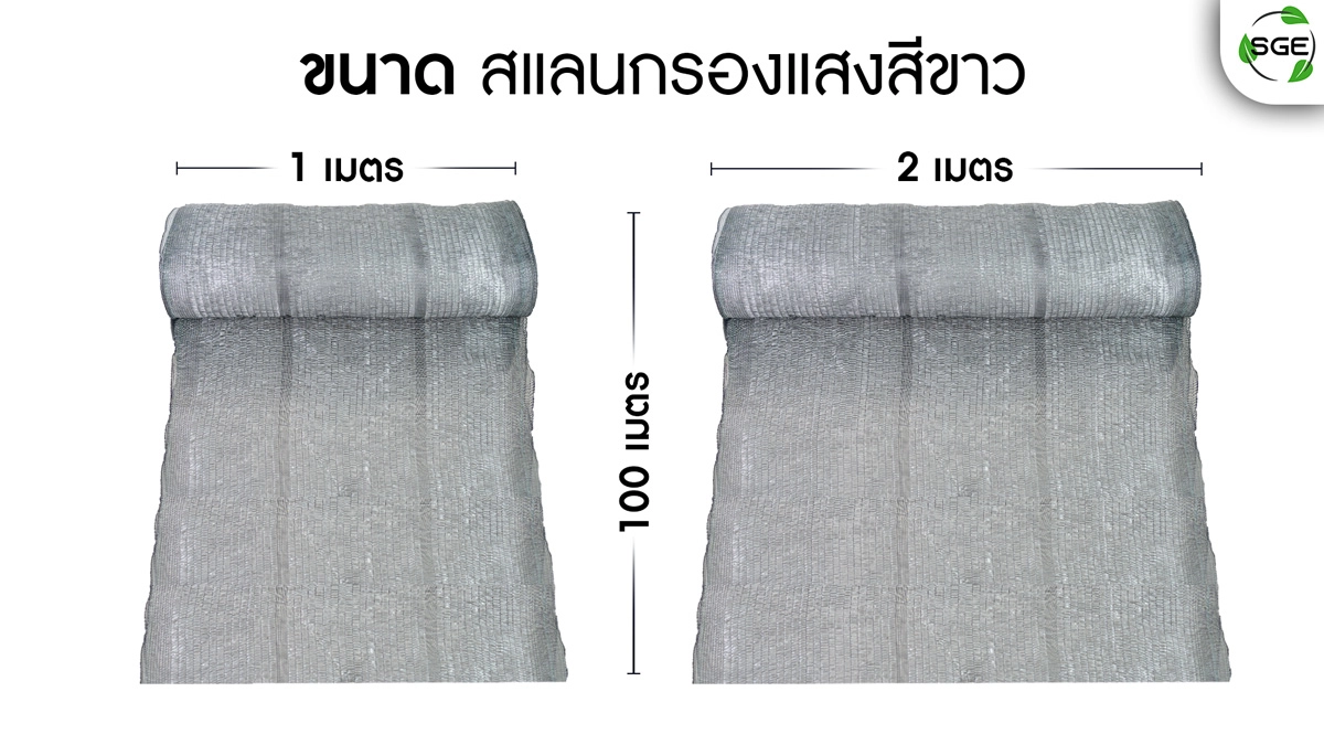 สแลนสีขาว--DIMENSION-