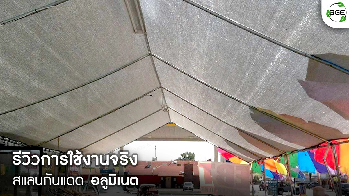 สแลนอลูมิเนต-REVIEW-