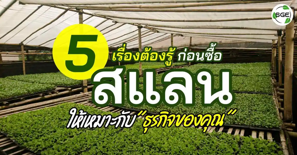 5 เรื่องต้องรู้ ก่อนซื้อ สแลนกรองแสง ให้เหมาะกับธุรกิจของคุณ