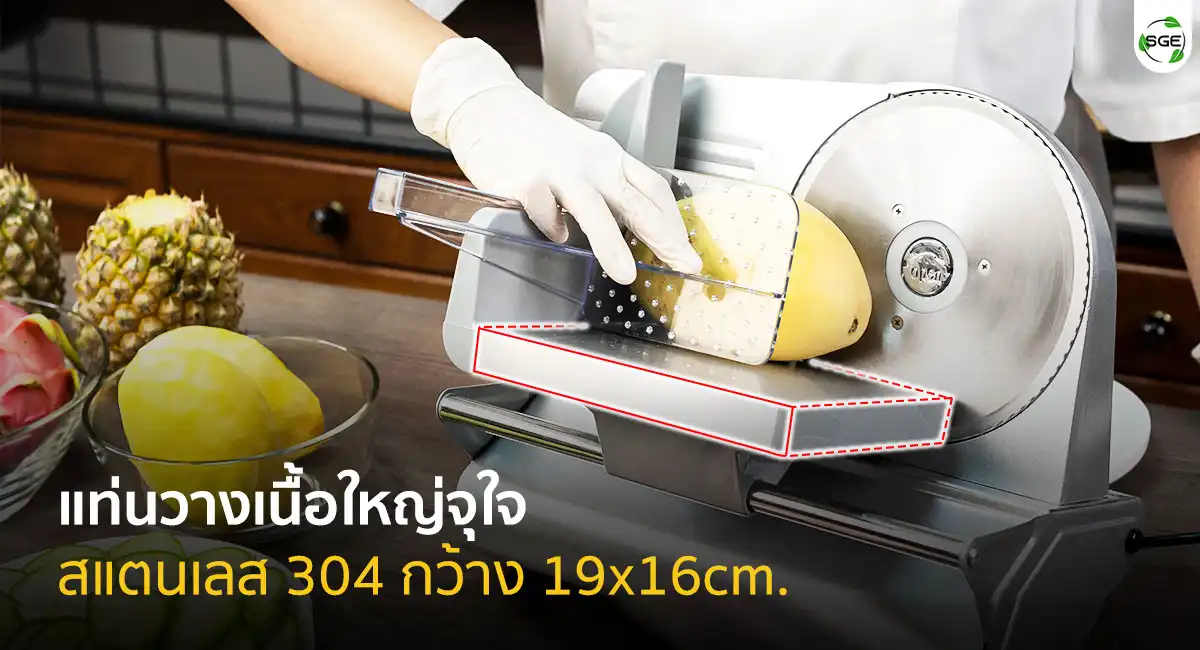MEAT-Slicer-MS7---PLATE-19x16-2