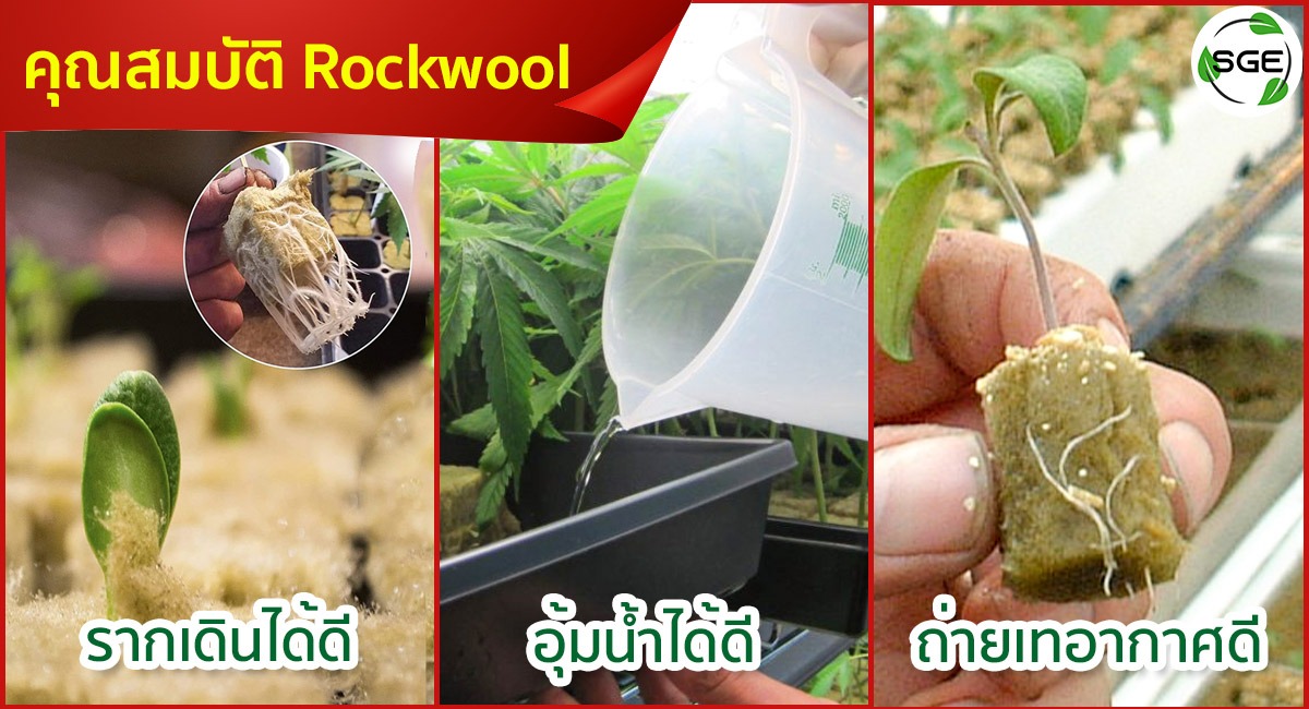 rockwool ปลูกต้นไม้--คุณสมบัติ