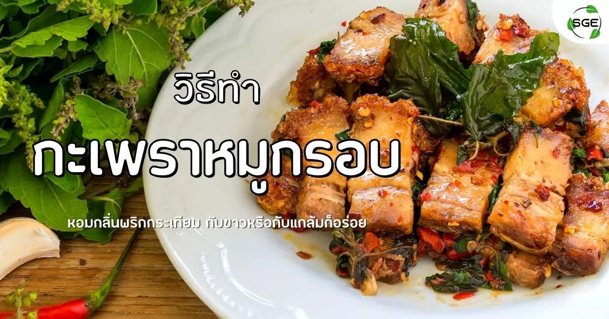 วิธีทำ กะเพราหมูกรอบ ผัดกะเพรายอดฮิต หมูกรอบหนานุ่ม เผ็ดจี๊ดถึงใจ