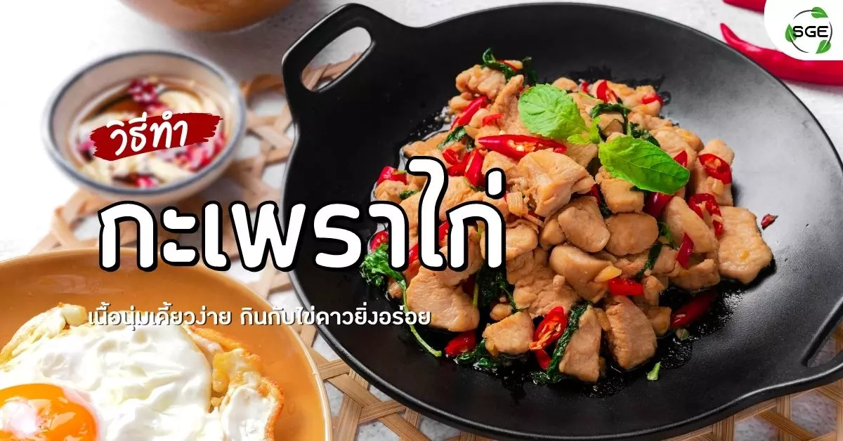 กะเพราไก่