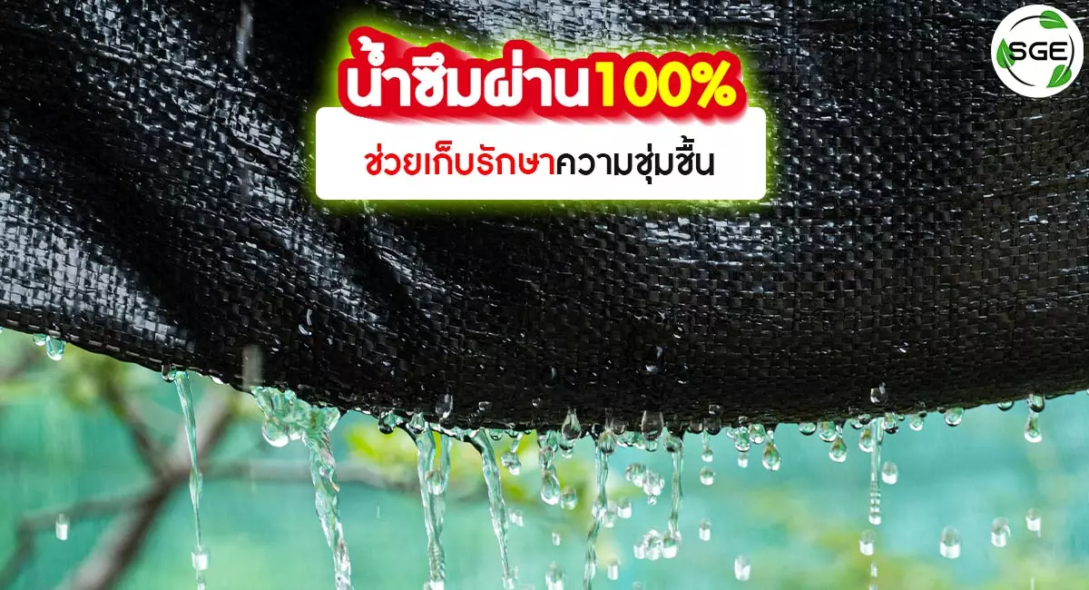 ผ้าคลุมดิน HDPE-น้ำซึมผ่านได้ดี