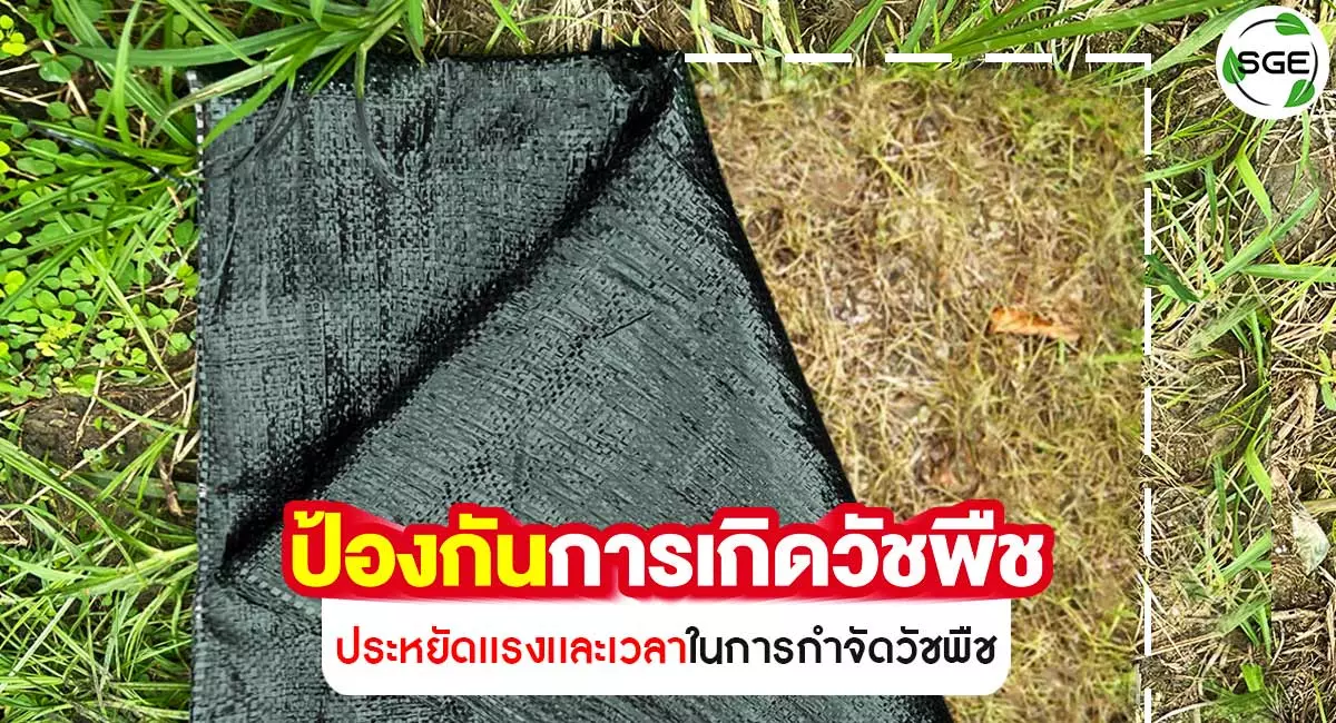 ผ้าคลุมดิน HDPE-ป้องกันการเกิดวัชพืช