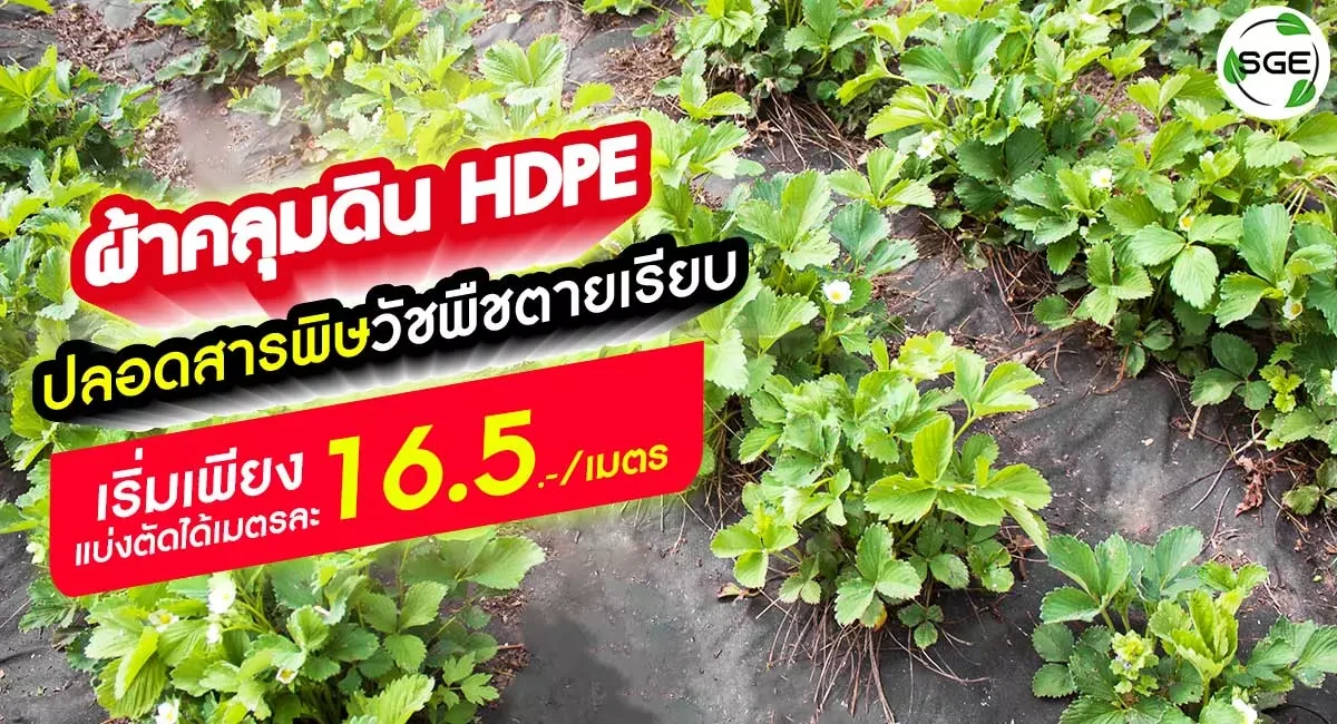 ผ้าคลุมดิน-HDPE-หน้าปก2.1