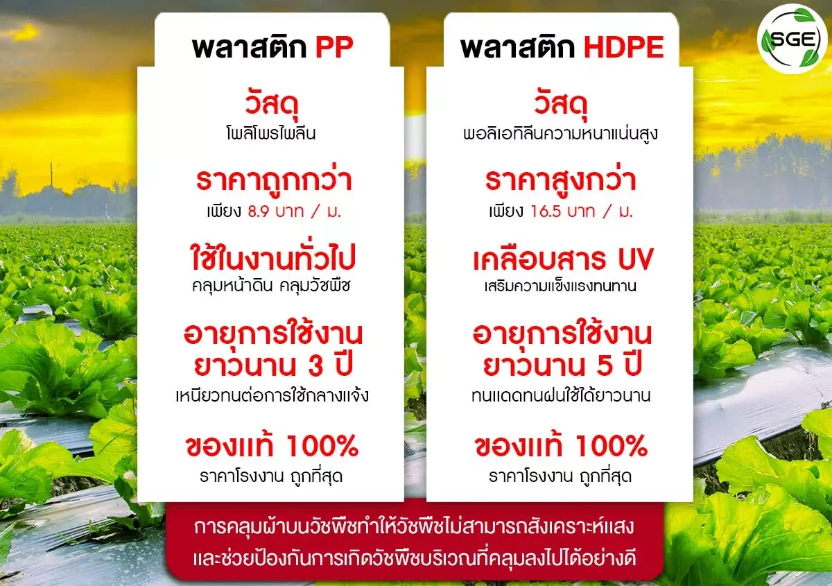 ผ้าคลุมดิน-HDPE-เปรียบเทียบ2