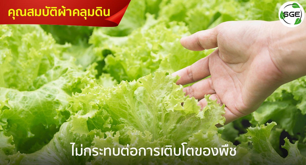 ผ้าคลุมดินแผ่นใยสังเคราะห์-คุณสมบัติรวม3_4
