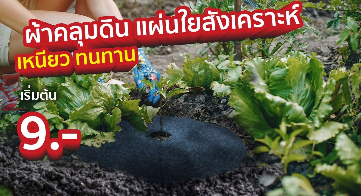 ผ้าคลุมดินแผ่นใยสังเคราะห์-ผ้าคลุมดิน_7
