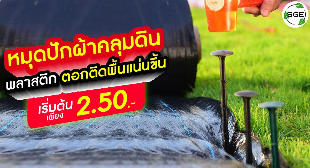 หมุดปักผ้าคลุมดิน