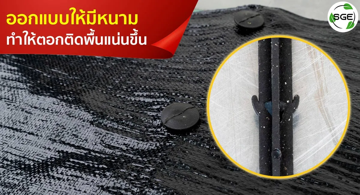 หมุดปักผ้าคลุมดิน ออกแบบให้มีหนาม