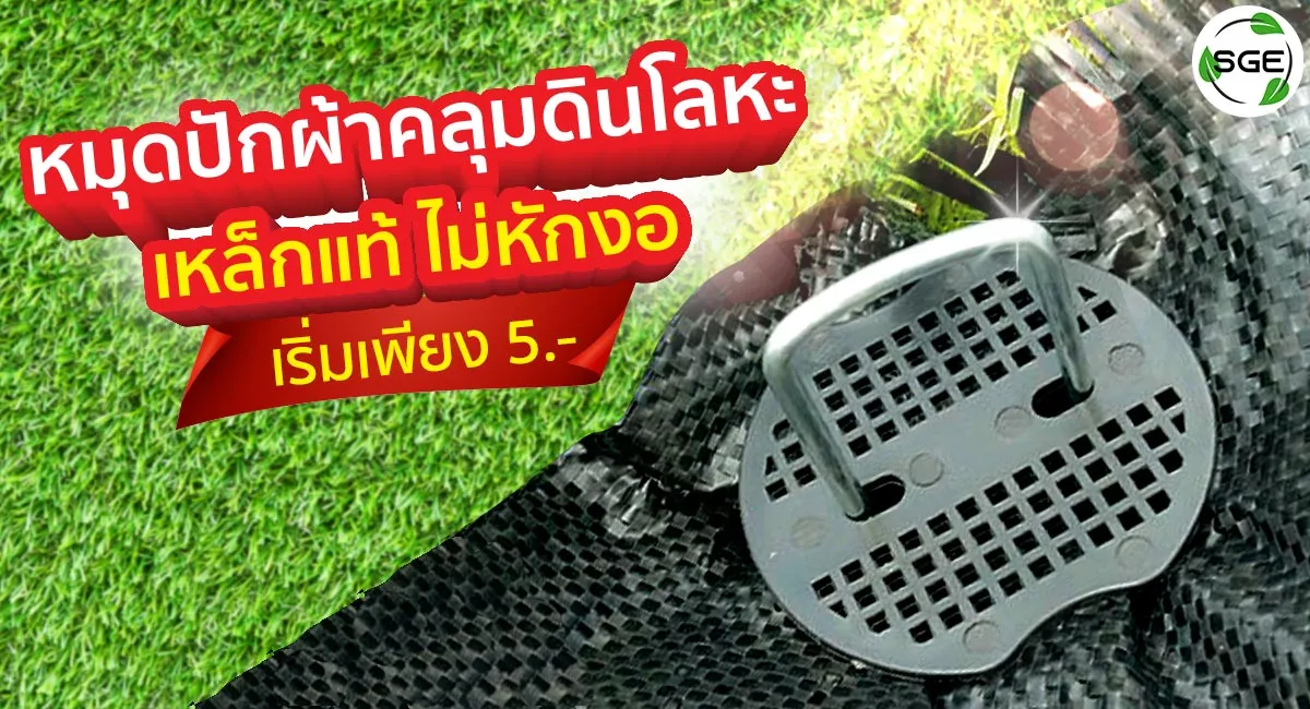 หมุดปักผ้าคลุมดินโลหะ-หน้าปกหมุดโลหะ_13