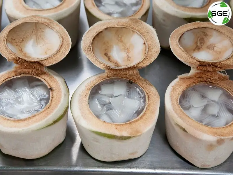 วุ้นมะพร้าว-thai-dessert-51-coconutjelly