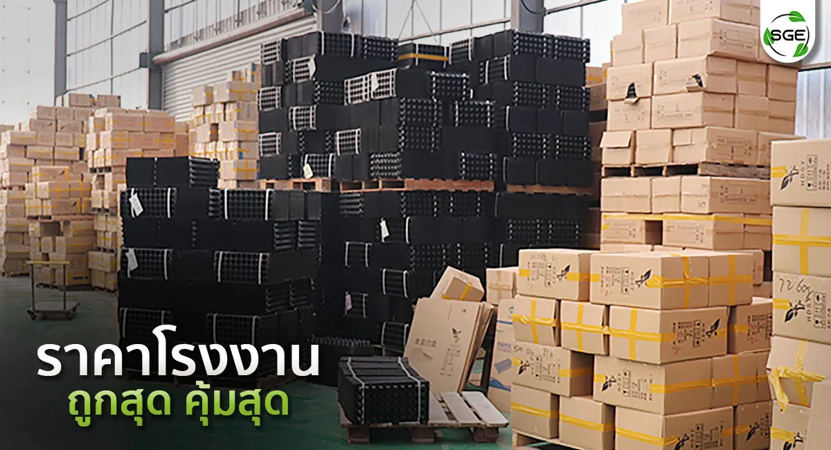 ถาดเพาะกล้า-11_7 ถาดเพาะกล้า-11_7