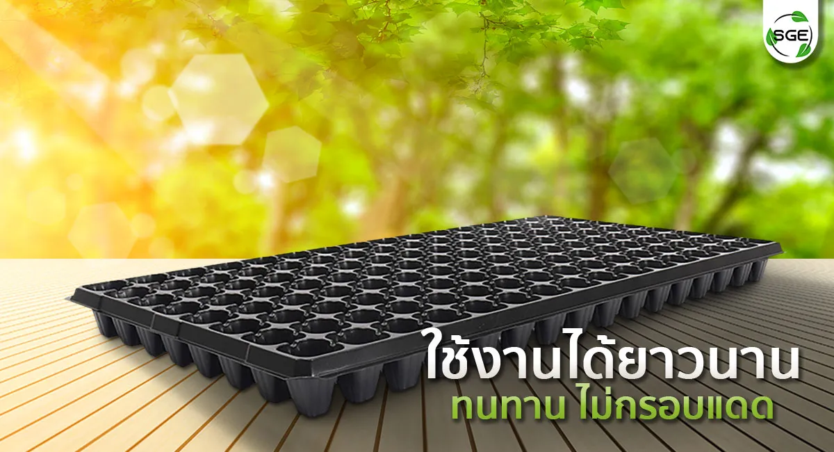 ถาดเพาะกล้า-13_9 ถาดเพาะกล้า-13_9
