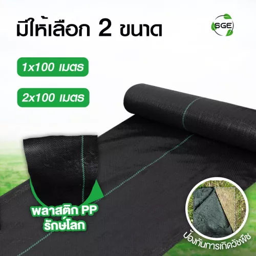 ผ้าคลุมดิน-thumnail-PP2_1