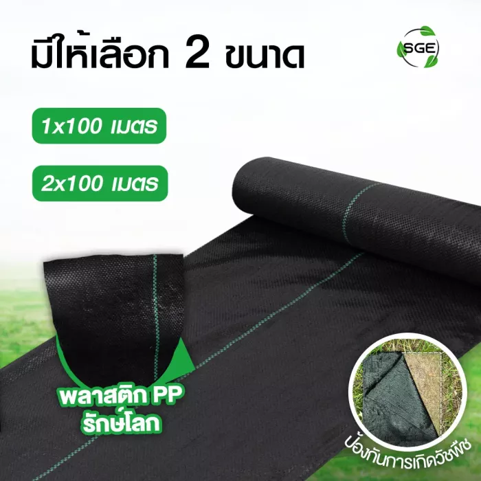 ผ้าคลุมดิน-thumnail-PP2_1