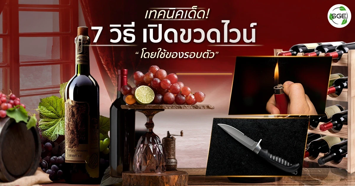 วิธีเปิดขวดไวน์ ขวดไวน์ ดื่มไวน์วันละแก้ว