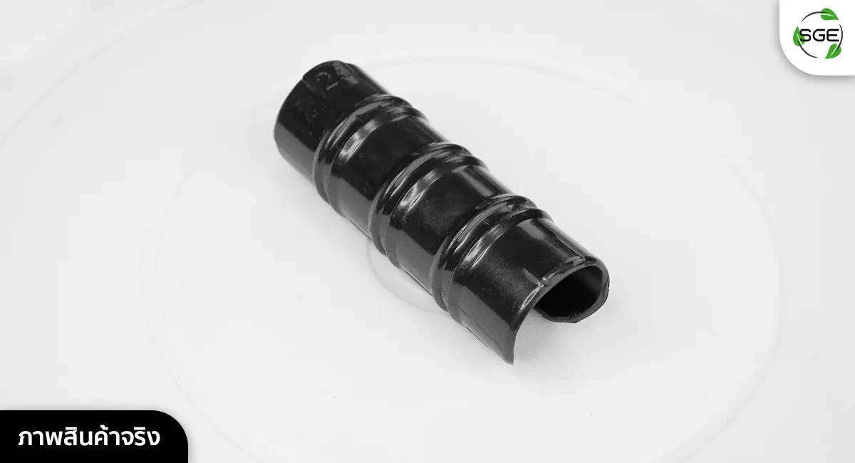 Gallery SN-CCP 3 model 01