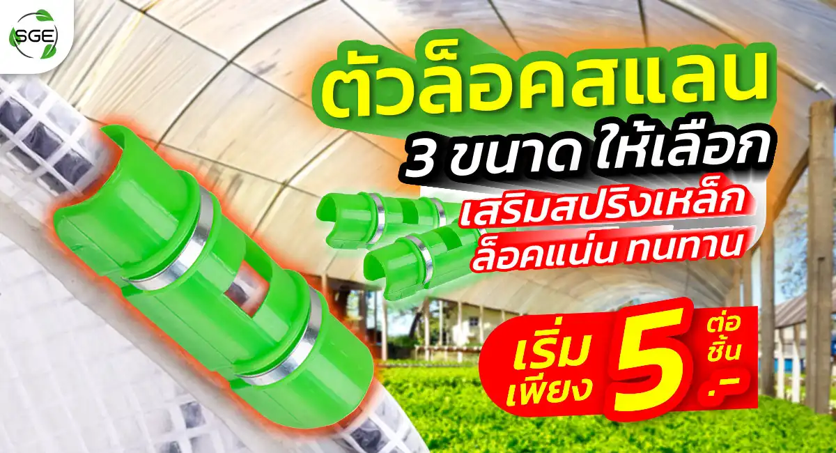Head-Banner-SN-CCS-2