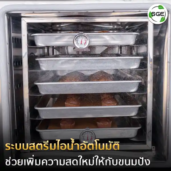 Buy on sale convection oven
