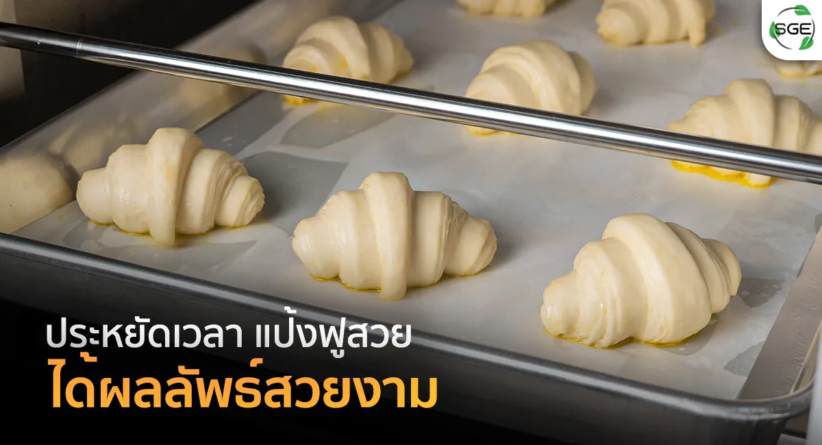 ตู้หมักแป้ง-รุ่น-Pro---ประหยัดเวลา