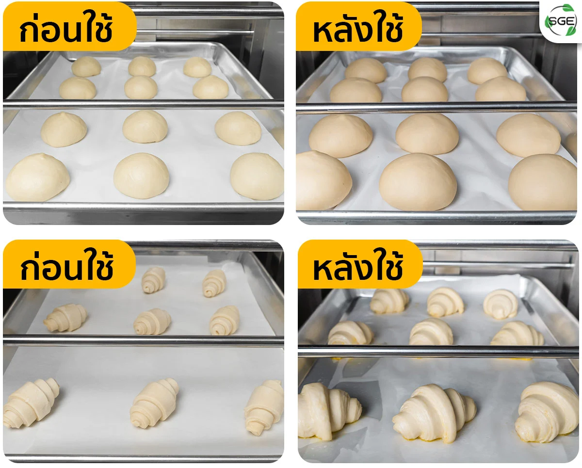 ตู้หมักแป้ง-รุ่น-Pro-ผลลัพธ์