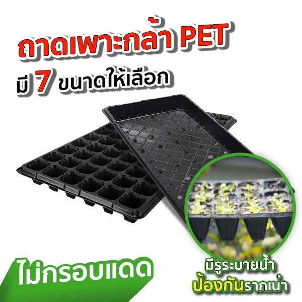 ถาดเพาะกล้า-PET-thumnail_2