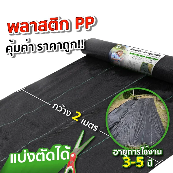สแลนเขียว-SGE