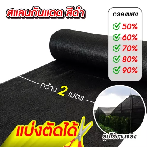 แสลนสีดำ-2-เมตร-100-2