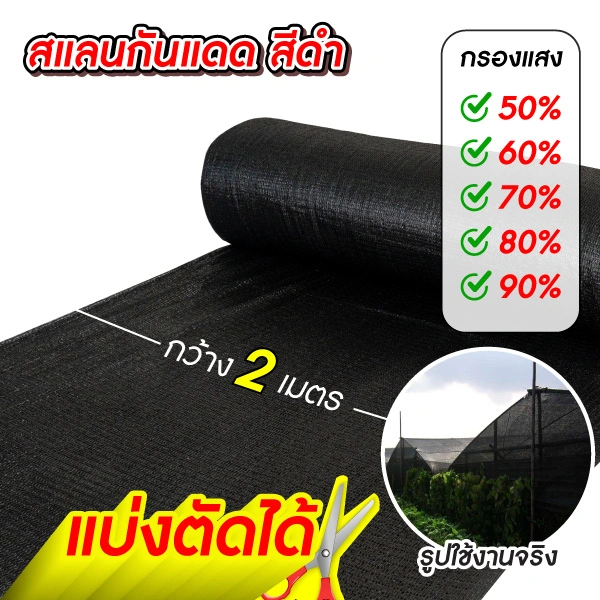 แสลนสีดำ-2-เมตร-100-2