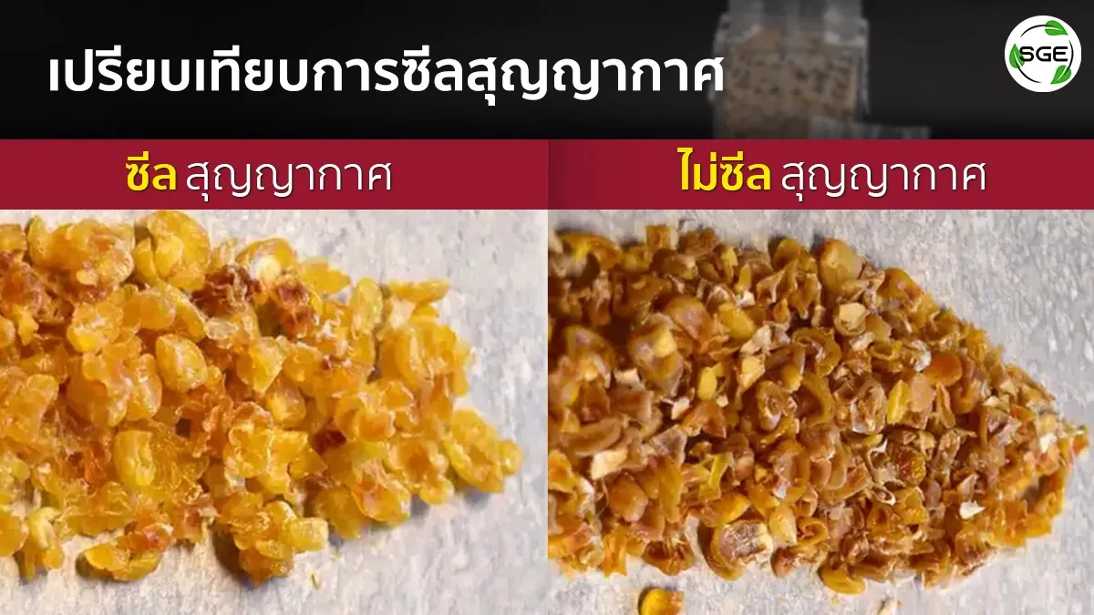 บทความควรรู้ก่อนซื้อ-เครื่องซีลสุญญากาศ-0_8