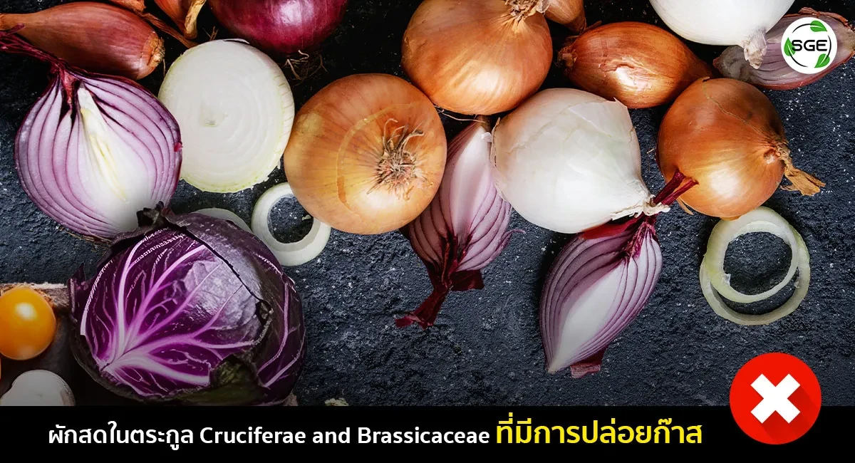 บทความควรรู้ก่อนซื้อ-เครื่องซีลสุญญากาศ-2_9