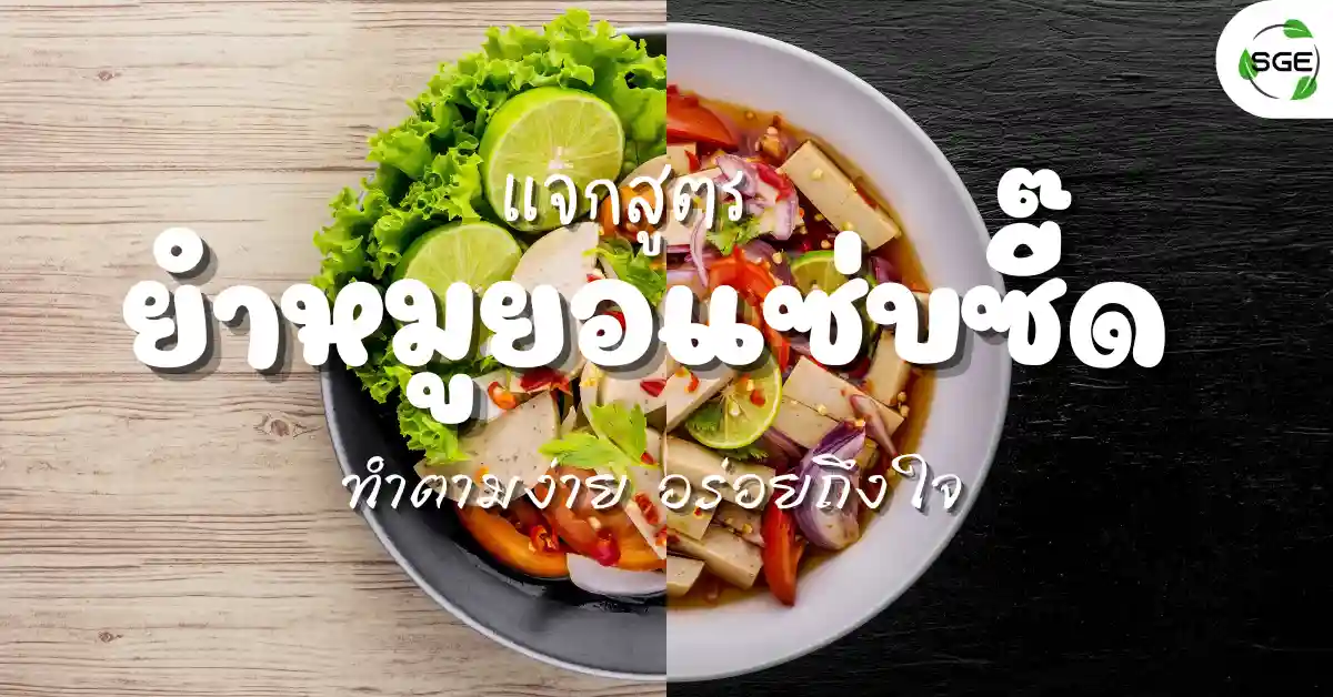 แจกสูตร ยำหมูยอ เมนูแซ่บซี๊ด ทำตามง่าย อร่อยถึงใจ