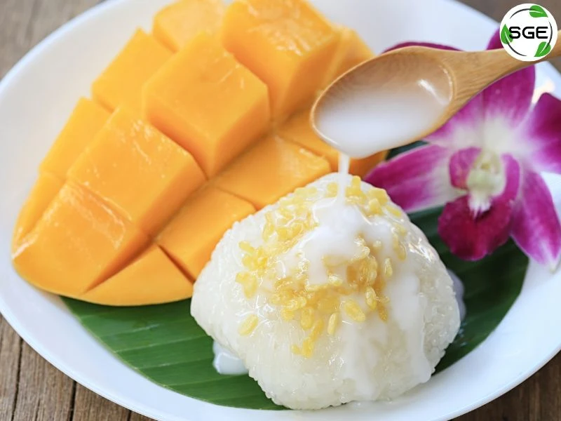 อาหารไทยภาคกลาง-traditional-thai-food-21 mangostickyrice