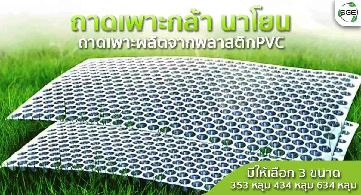 Product ถาดเพาะกล้า-นาโยน-หน้าปก