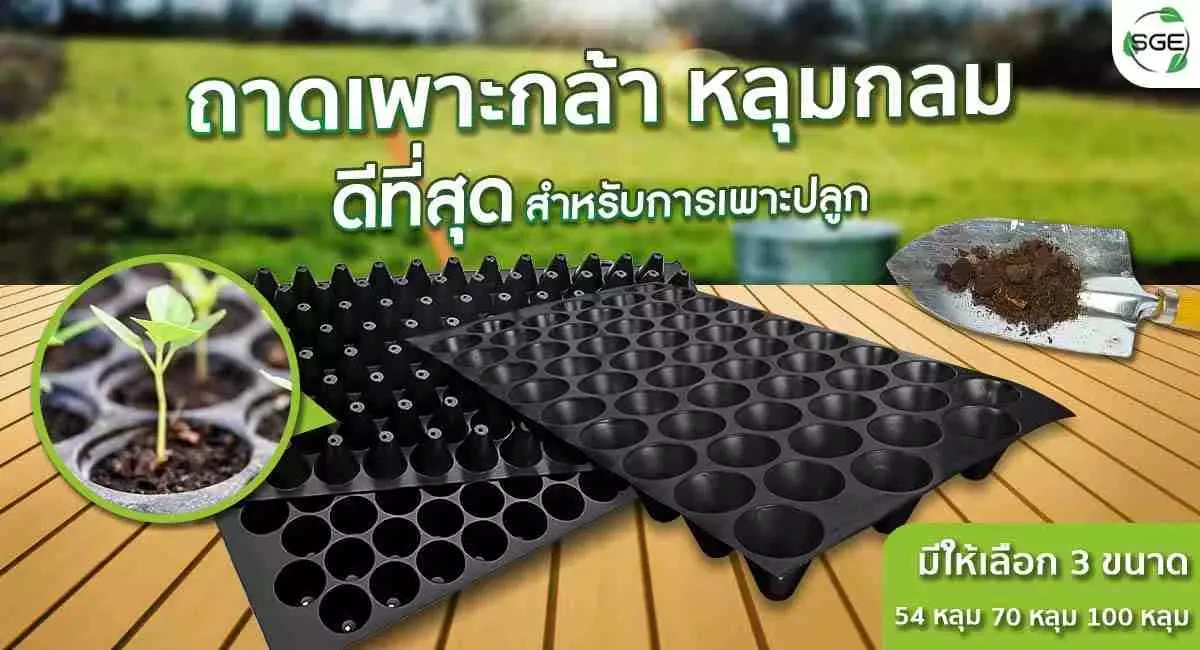 Product-ถาดเพาะกล้าวงกลม-หน้าปก