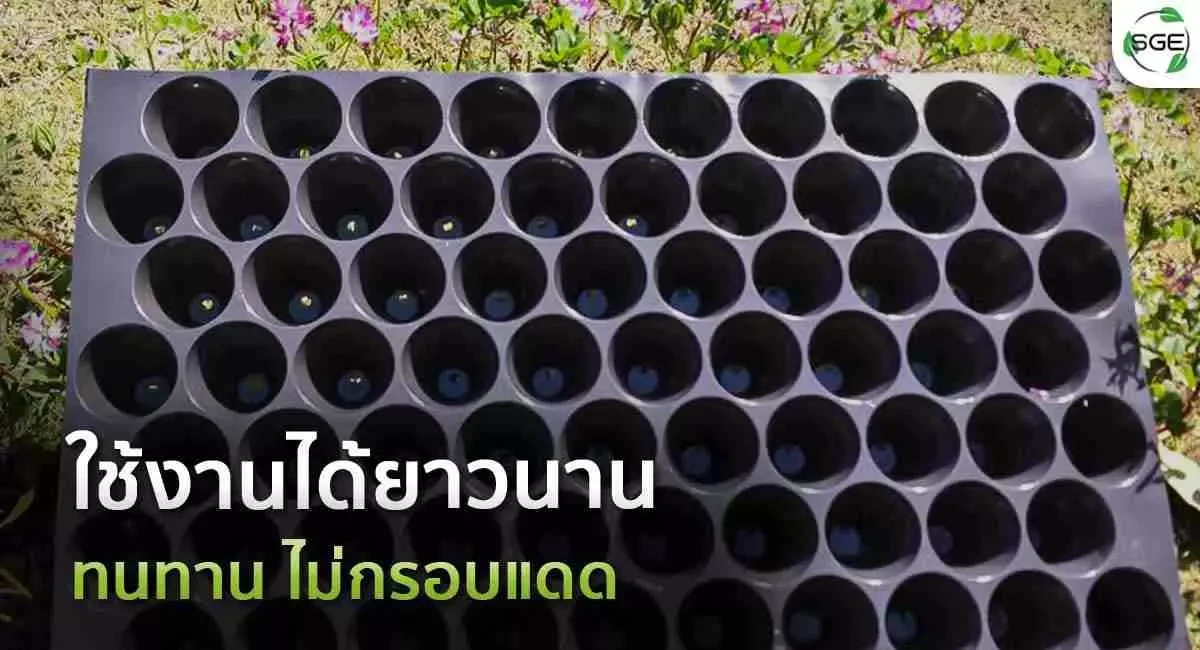 Product-ถาดเพาะกล้าวงกลม-ใช้งานได้ยาวนาน