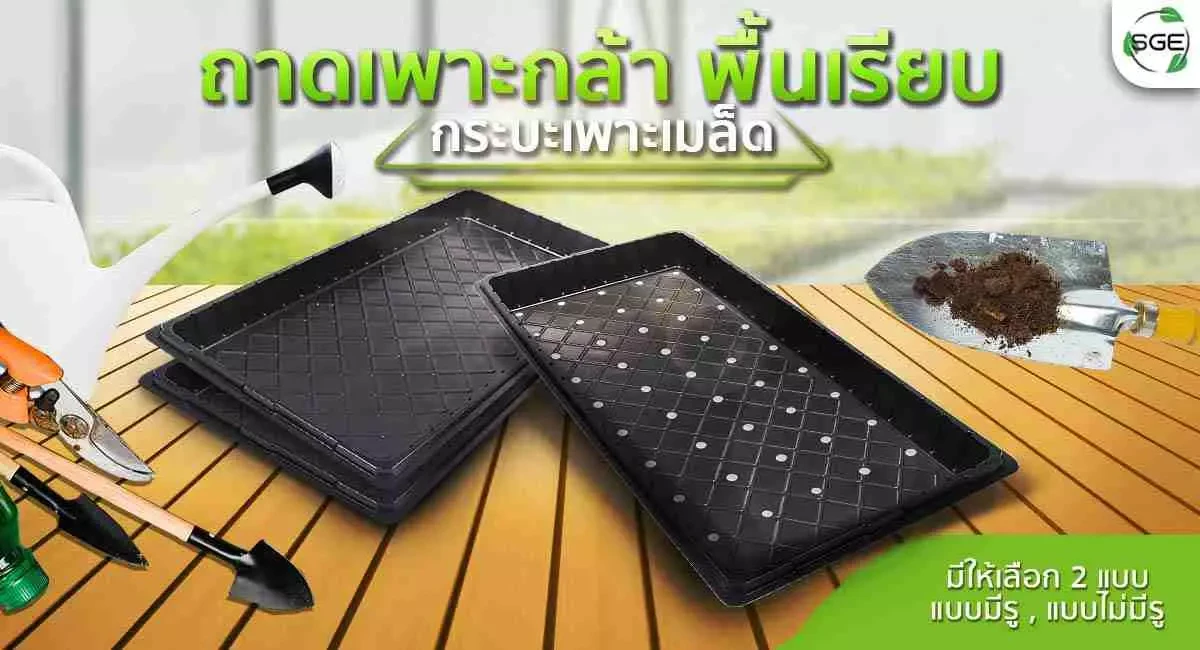 Product-หน้าปก-ถาดเพาะกล้า-แบบเรียบ