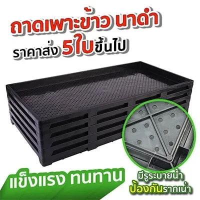 ถาดเพาะกล้า ถาดเพาะเมล็ด