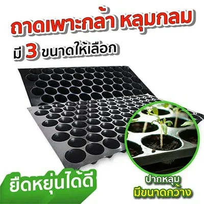 ถาดเพาะกล้า