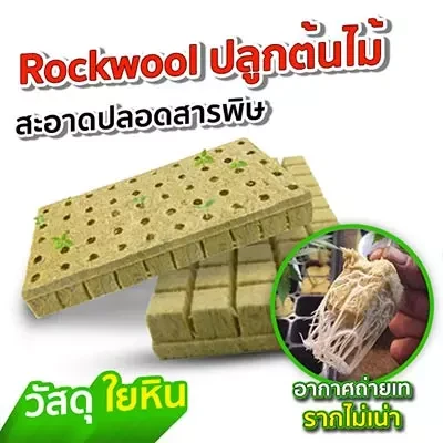 ถาดเพาะกล้า ถาดเพาะเมล็ด